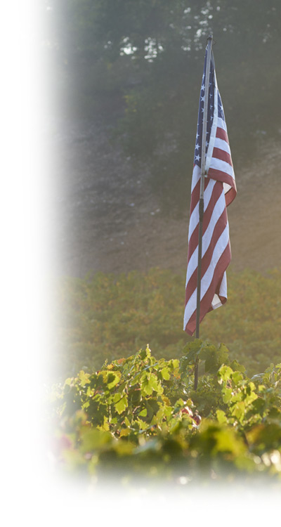AronHill Estate Winner's Circle Wine Club