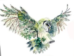 Majestic Winter Owl Sip n Paint