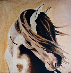 Horse in the Wind Sip n Paint